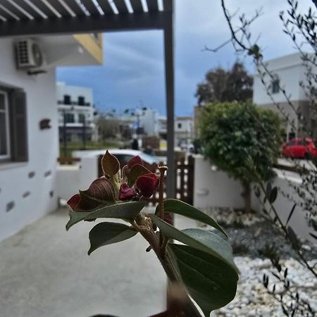 Vila The Garden House Tínos Exteriér fotografie