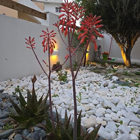 Vila The Garden House Tínos Exteriér fotografie